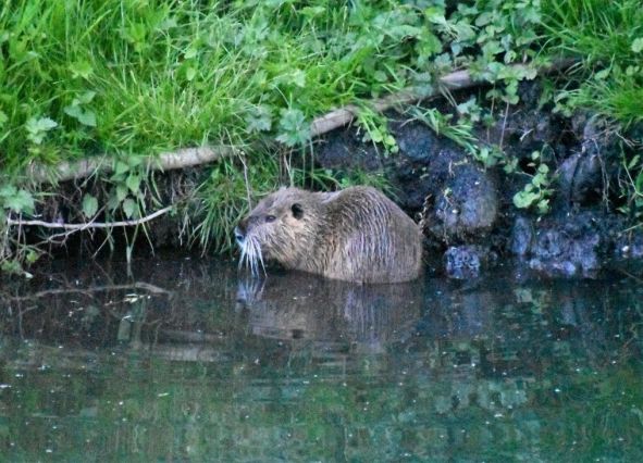 Image033.jpg