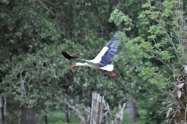 Image035.jpg