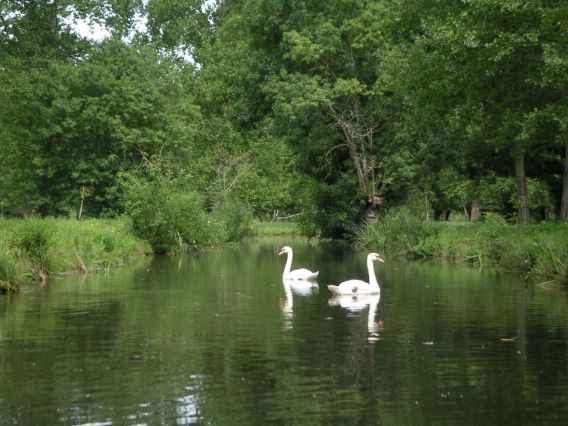 Image039.jpg
