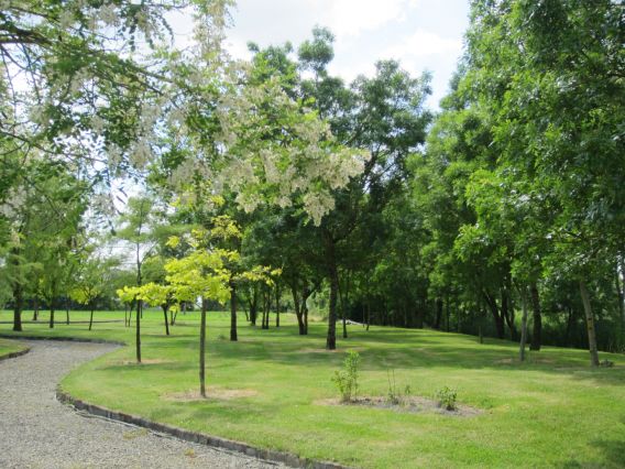 Un coin du parc