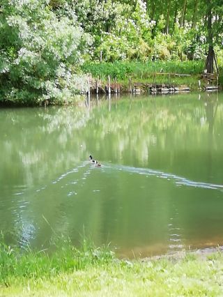 IMG_20180607_114228.jpg
