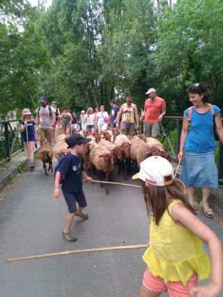 Apéro transhumance