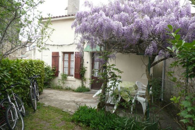 Jardin glicine
