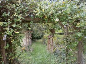 Jardin