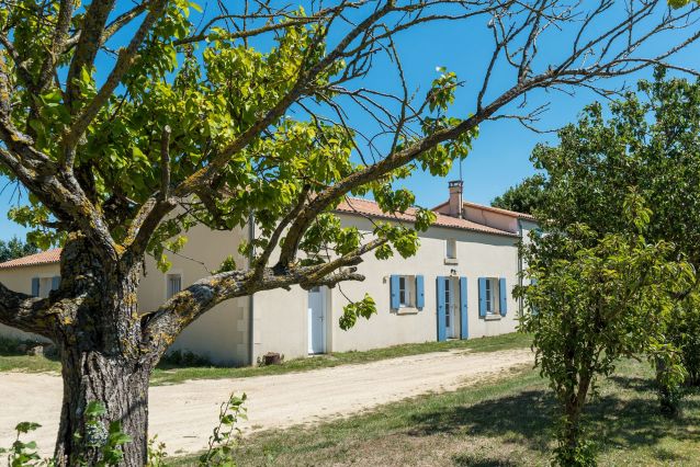 Jardin côté cour