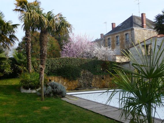 Au fond derrière le mur et les arbres en fleur se situe le jardin privatif et le logement