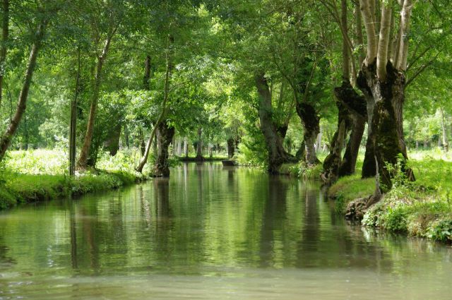 Balades sur le Marais Poitevin - Camping la Venise Verte