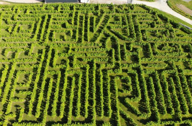 Labyrinthe - Deux-Sèvres