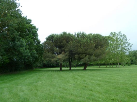 Parc