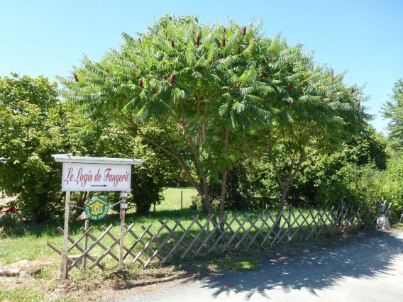 Arrivée au Logis de Faugerit