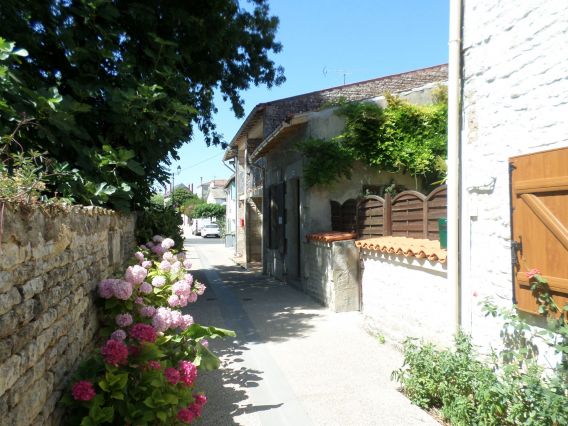 La "venelle", devant le gîte