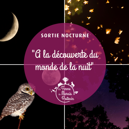 Sortie nocturne - La Ferme du Marais Poitevin