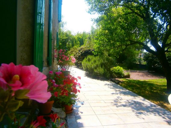 Terrasse-jardin