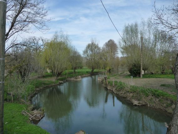 Vielle sèvre vue de la passerelle