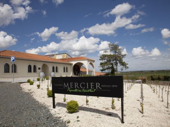 Vignobles Mercier