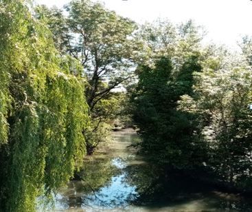 Maillé, au cœur du marais poitevin
