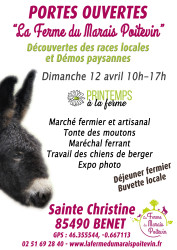 5446bded6321927e9373e6053196b8cd