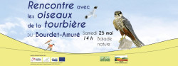 LE BOURDET 2019 OISEAUX DE LA TOURBIERE