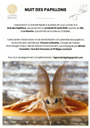 Papillon 250730 210231 page 0001