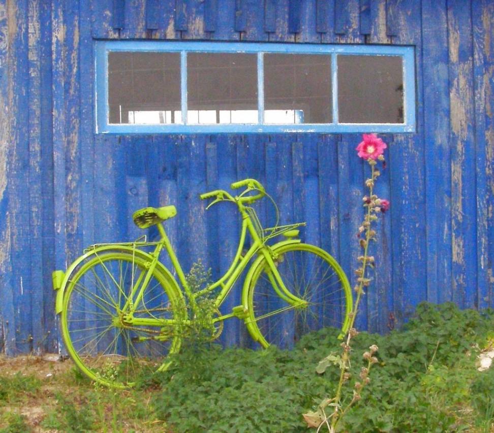 bicyclette dans le marais